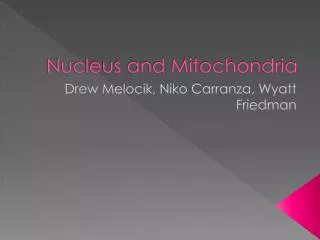 Nucleus and Mitochondria