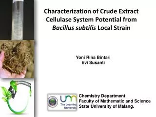 characterization of crude extract cellulase system potential from bacillus subtilis local strain