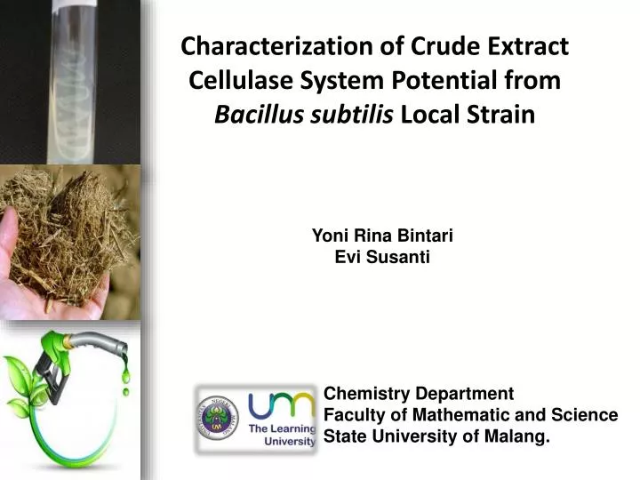 characterization of crude extract cellulase system potential from bacillus subtilis local strain
