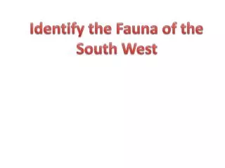 Identify the Fauna of the South West