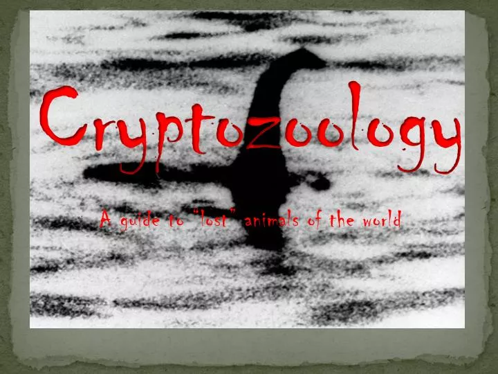 cryptozoology