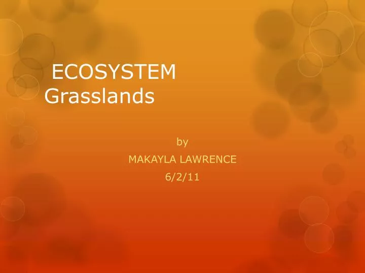 ecosystem grasslands