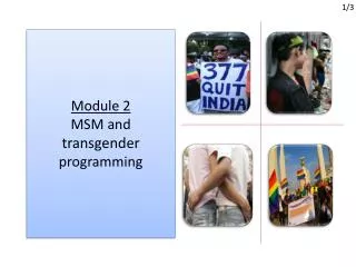 Module 2 MSM and transgender p rogramming