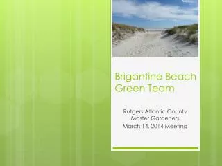 Brigantine Beach Green Team