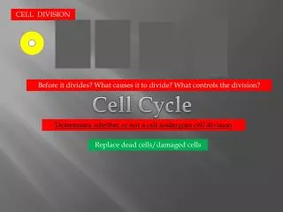 CELL DIVISION