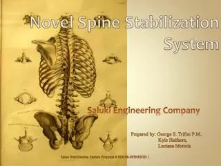 Novel Spine Stabilization System