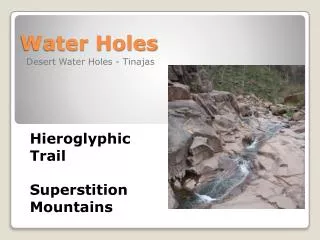 Water Holes