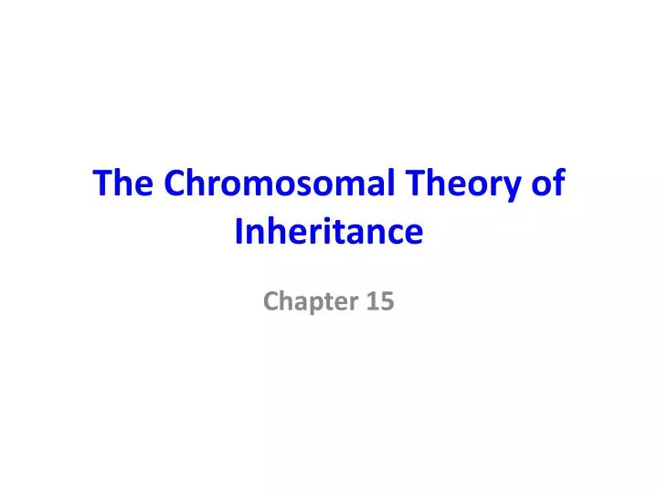 the chromosomal theory of inheritance