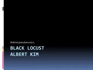 Black Locust Albert Kim
