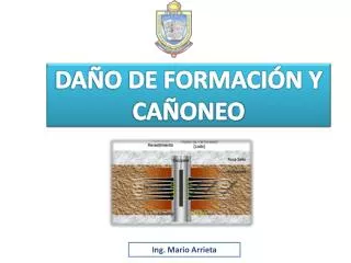 da o de formaci n y ca oneo