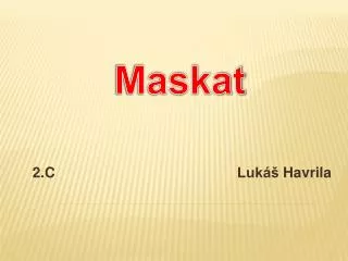 2 c luk havrila