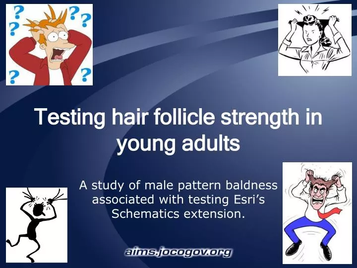 testing hair follicle strength in young adults