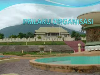 prilaku organisasi