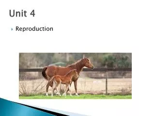 unit 4