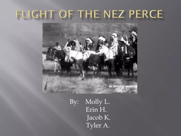 flight of the nez perce