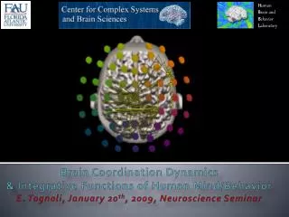 Brain Coordination Dynamics