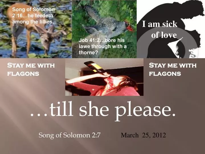 till she please song of solomon 2 7 march 25 2012