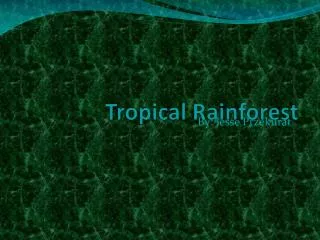 Tropical Rainforest