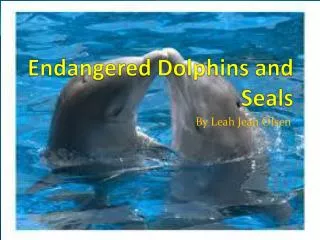 Endangered Dolphins and Seals