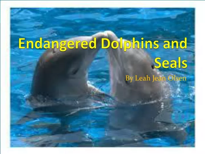 endangered dolphins and seals