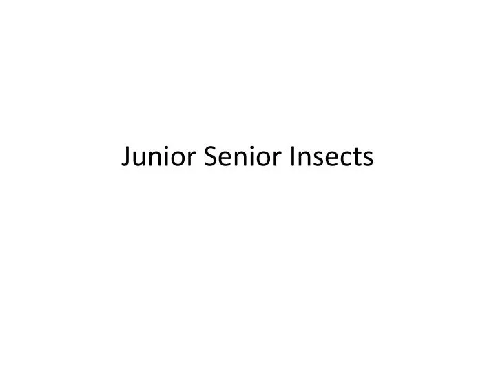 junior senior insects