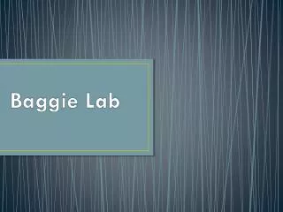 Baggie Lab