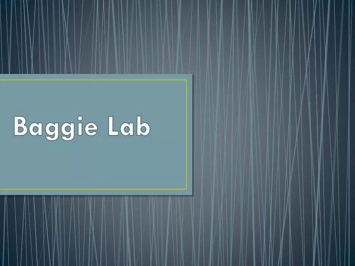 baggie lab