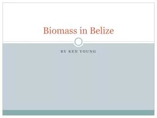 Biomass in Belize