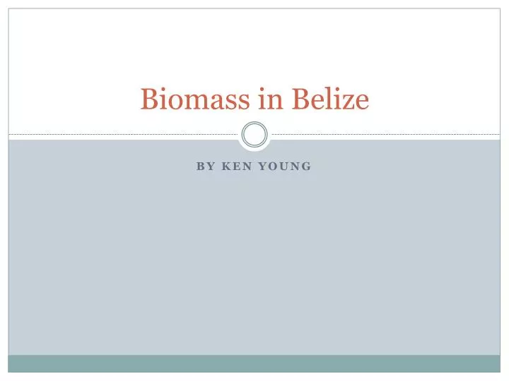 biomass in belize