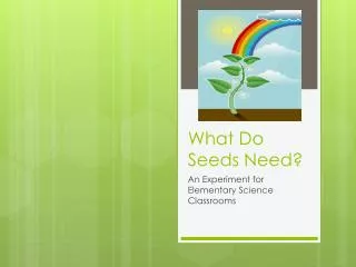 What Do Seeds Need?