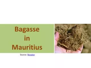 Bagasse i n Mauritius
