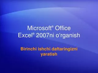 microsoft office excel 2007ni o r g anish