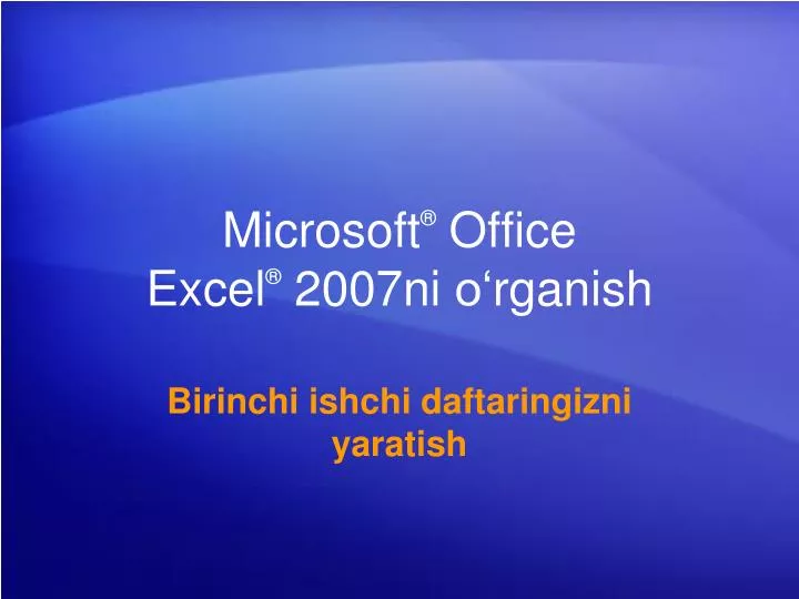 microsoft office excel 2007ni o r g anish