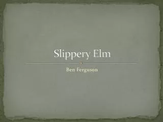 Slippery Elm