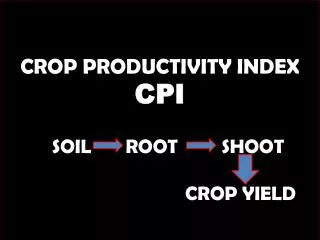 CROP PRODUCTIVITY INDEX CPI SOIL ROOT SHOOT
