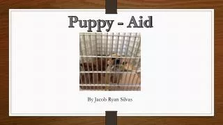 Puppy - Aid