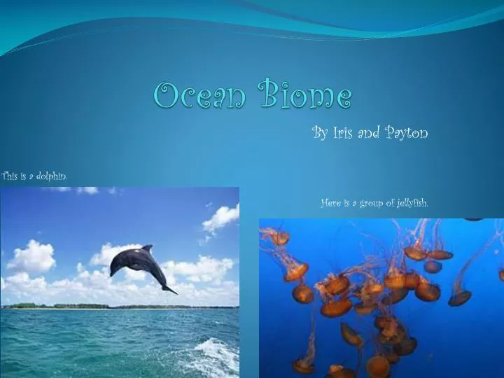 ocean biome