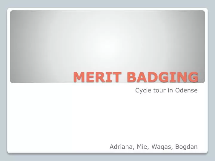 merit badging