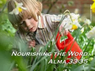 Nourishing the Word Alma 33-35