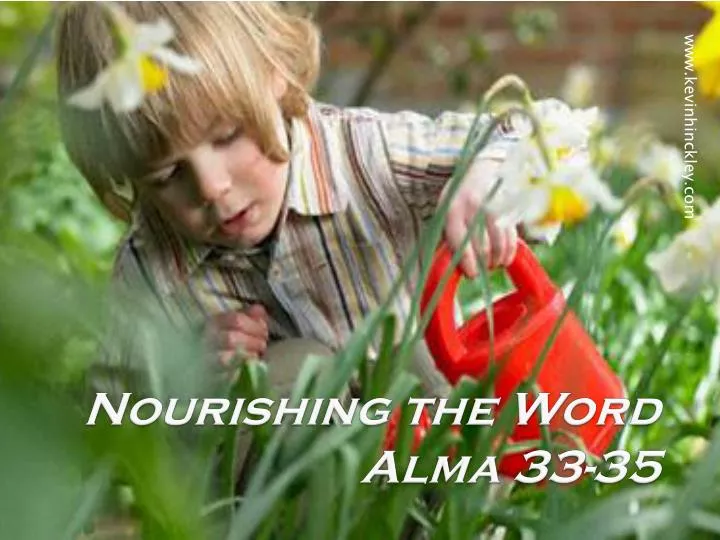 nourishing the word alma 33 35