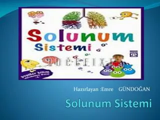 solunum sistemi