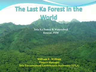 The Last Ka Forest in the World
