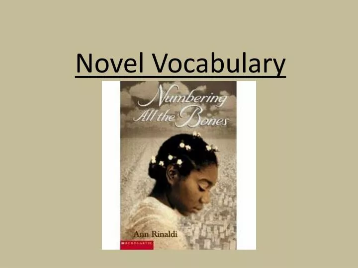 novel vocabulary