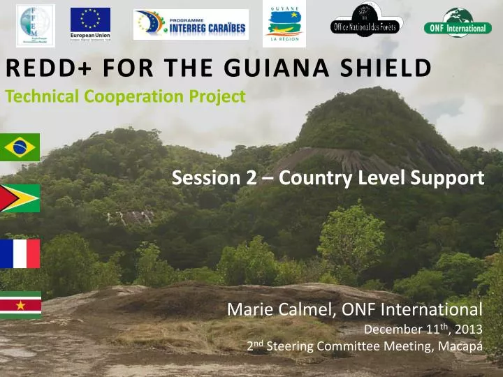 redd for the guiana shield technical cooperation project