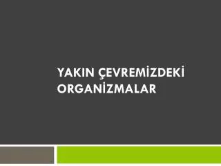 yakin evrem zdek organ zmalar