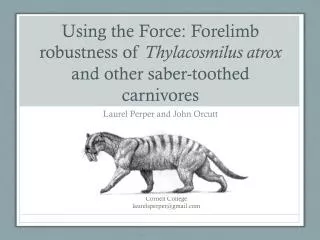 Using the Force: Forelimb robustness of Thylacosmilus atrox and other saber-toothed carnivores