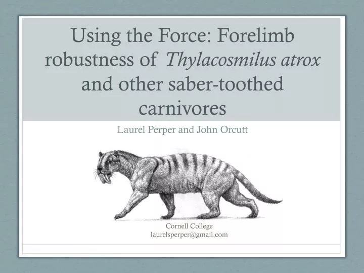 using the force forelimb robustness of thylacosmilus atrox and other saber toothed carnivores