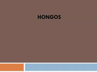 hongos