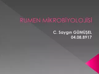 rumen m krob yoloj s
