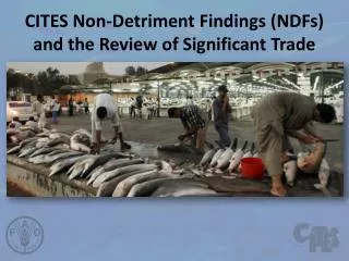 CITES Non- Detriment Findings ( NDFs ) and the Review of Significant Trade